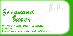 zsigmond buzer business card